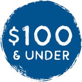 $100 and under
