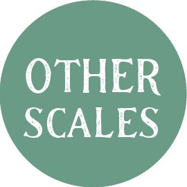 Other Model Scales