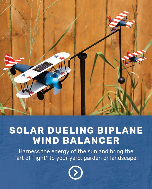 Solar Dueling Biplane Wind Balancer ion garden setting